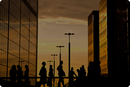 AI, Data & Automation