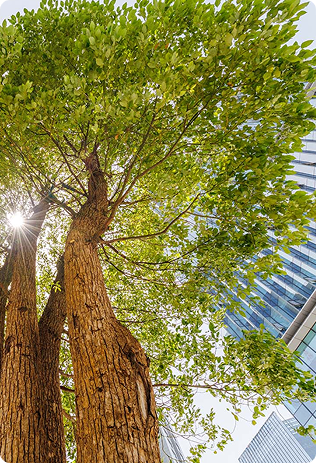 Societal impact initiatives